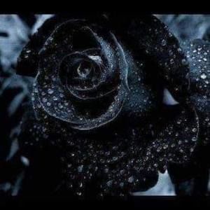 Meet your Posher, Kenny